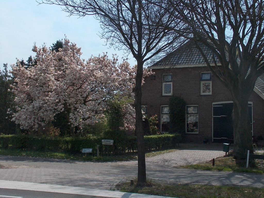 Molenvoort Bed & Breakfast Wachtum Dış mekan fotoğraf